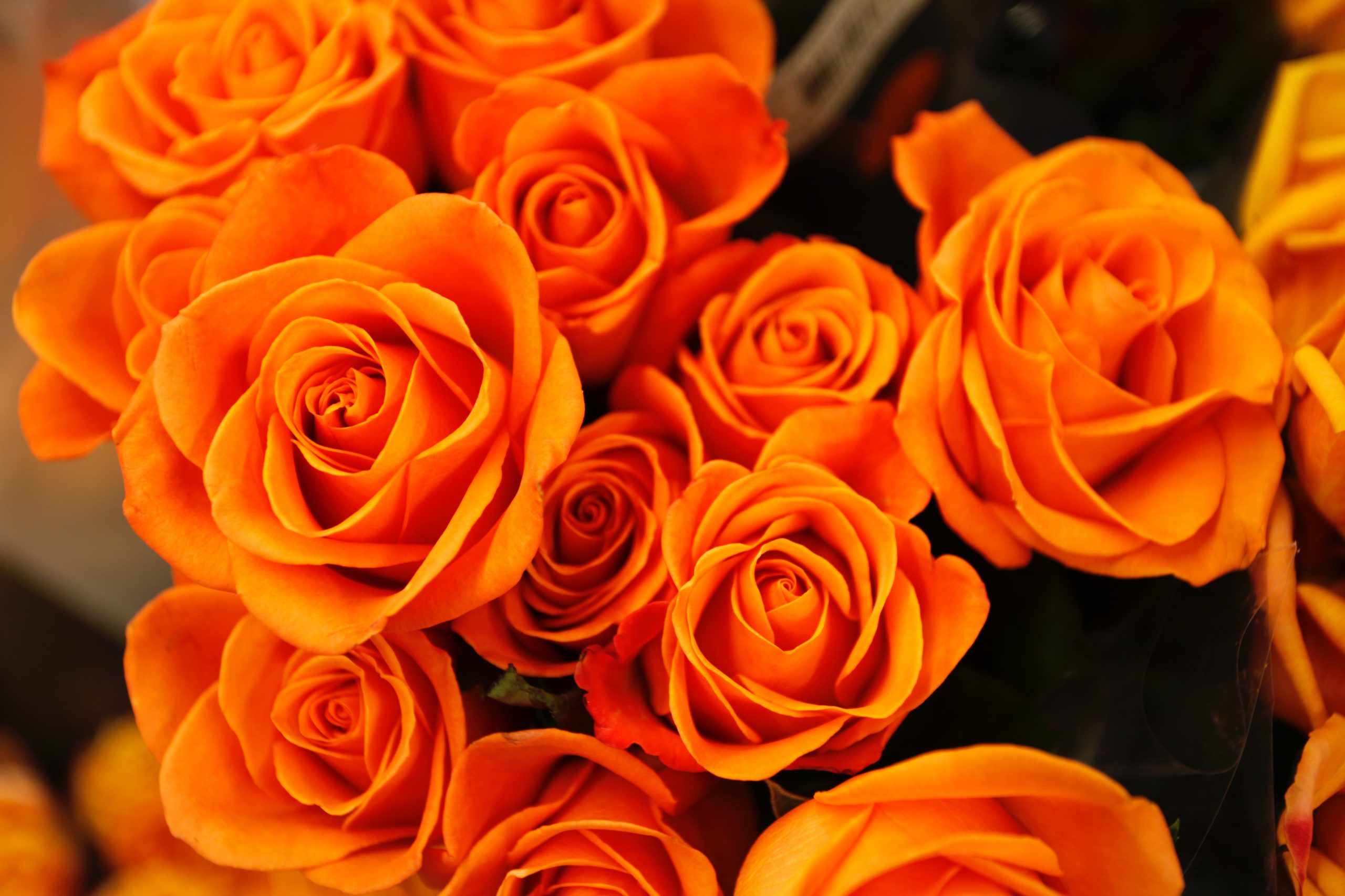 Bouquet personnalisé fleurs de saisons à Namur